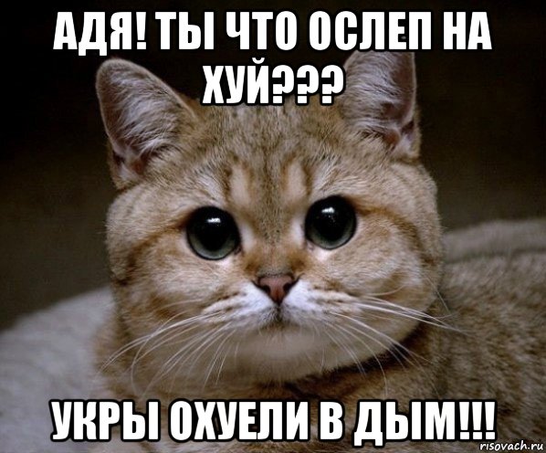 адя! ты что ослеп на хуй??? укры охуели в дым!!!