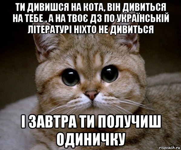 ти дивишся на кота, він дивиться на тебе , а на твоє дз по українській літературі ніхто не дивиться і завтра ти получиш одиничку, Мем Пидрила Ебаная