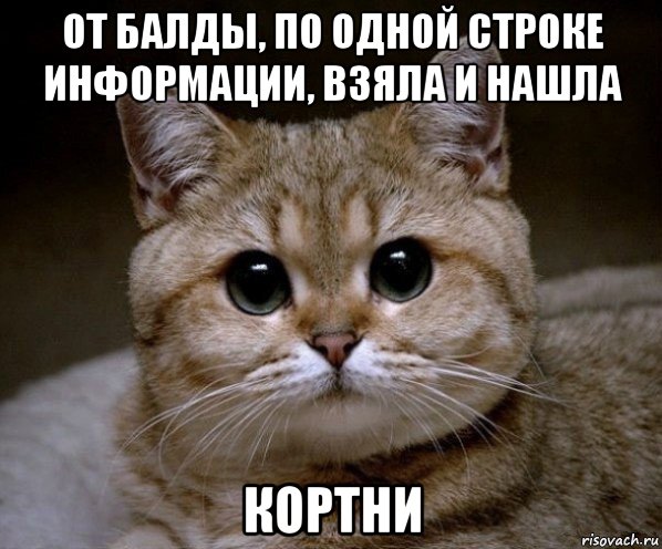 от балды, по одной строке информации, взяла и нашла кортни, Мем Пидрила Ебаная