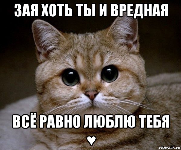 зая хоть ты и вредная всё равно люблю тебя ♥