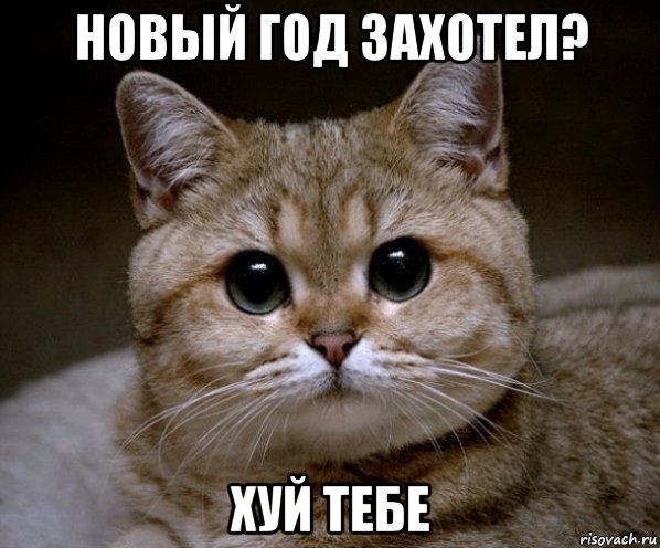 новый год захотел? хуй тебе