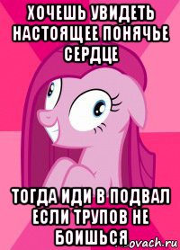 хочешь увидеть настоящее понячье сердце тогда иди в подвал если трупов не боишься, Мем Пинкамина