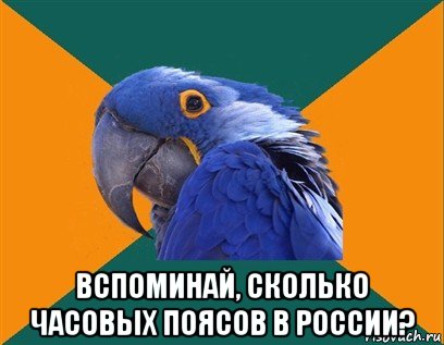  вспоминай, сколько часовых поясов в россии?, Мем Попугай параноик