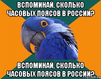 вспоминай, сколько часовых поясов в россии? вспоминай, сколько часовых поясов в россии?, Мем Попугай параноик