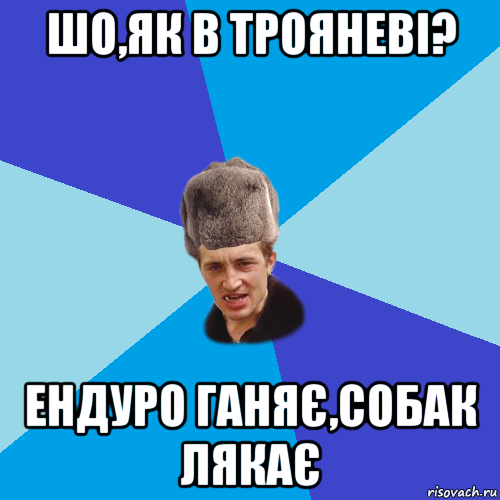 шо,як в трояневі? ендуро ганяє,собак лякає, Мем Празднчний паца