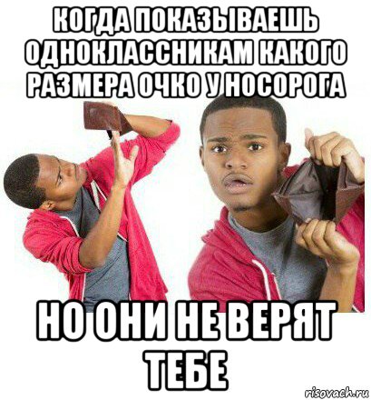 когда показываешь одноклассникам какого размера очко у носорога но они не верят тебе, Мем  Пустой кошелек