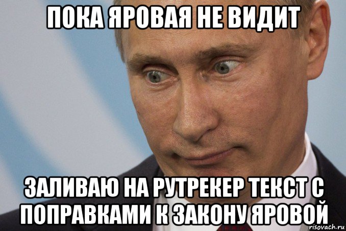 пока яровая не видит заливаю на рутрекер текст с поправками к закону яровой