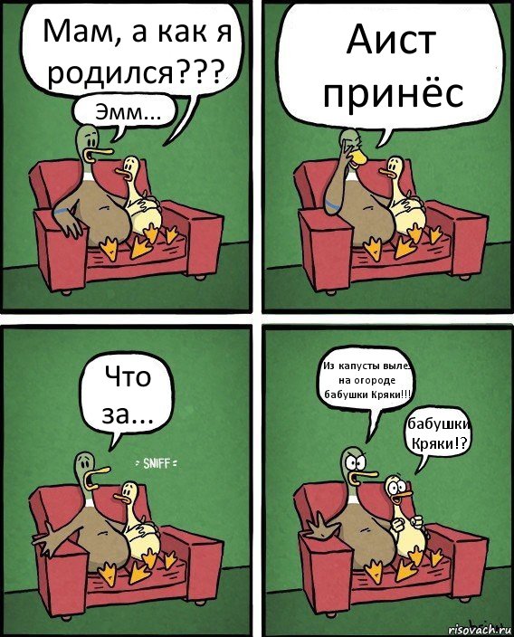 Мам, а как я родился??? Эмм... Аист принёс Что за... Из капусты вылез на огороде бабушки Кряки!!! бабушки Кряки!?, Комикс  Разговор уток