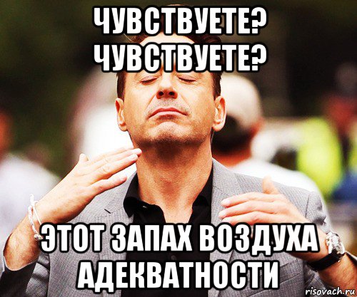 чувствуете? чувствуете? этот запах воздуха адекватности, Мем   Дауни-младший нюхает