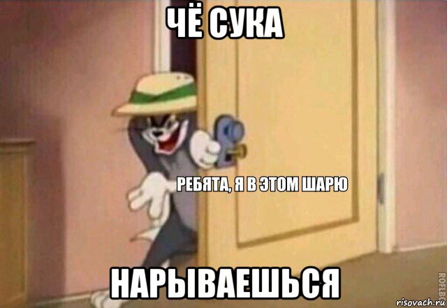 чё сука нарываешься, Мем    Ребята я в этом шарю