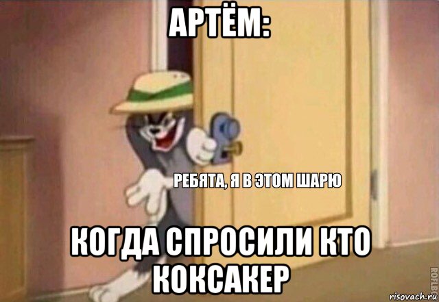 артём: когда спросили кто коксакер, Мем    Ребята я в этом шарю