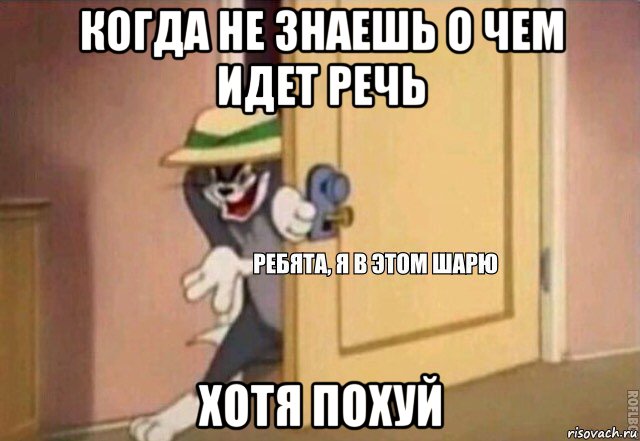 когда не знаешь о чем идет речь хотя похуй, Мем    Ребята я в этом шарю