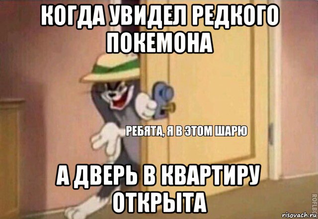 когда увидел редкого покемона а дверь в квартиру открыта, Мем    Ребята я в этом шарю