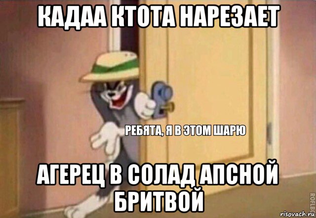 кадаа ктота нарезает агерец в солад апсной бритвой, Мем    Ребята я в этом шарю