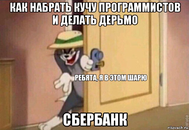 как набрать кучу программистов и делать дерьмо сбербанк, Мем    Ребята я в этом шарю