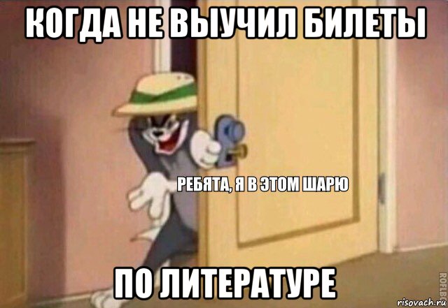 когда не выучил билеты по литературе, Мем    Ребята я в этом шарю