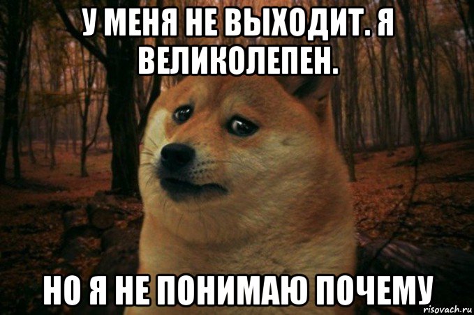 у меня не выходит. я великолепен. но я не понимаю почему, Мем SAD DOGE