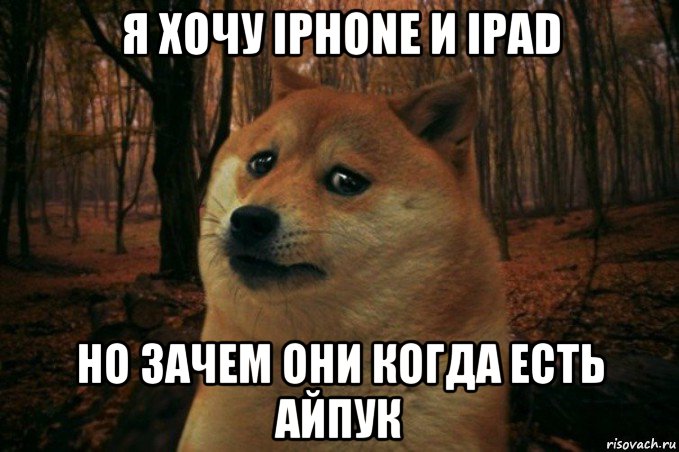 я хочу iphone и ipad но зачем они когда есть айпук, Мем SAD DOGE