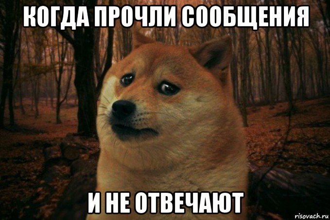 когда прочли сообщения и не отвечают, Мем SAD DOGE