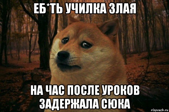 еб*ть училка злая на час после уроков задержала сюка, Мем SAD DOGE