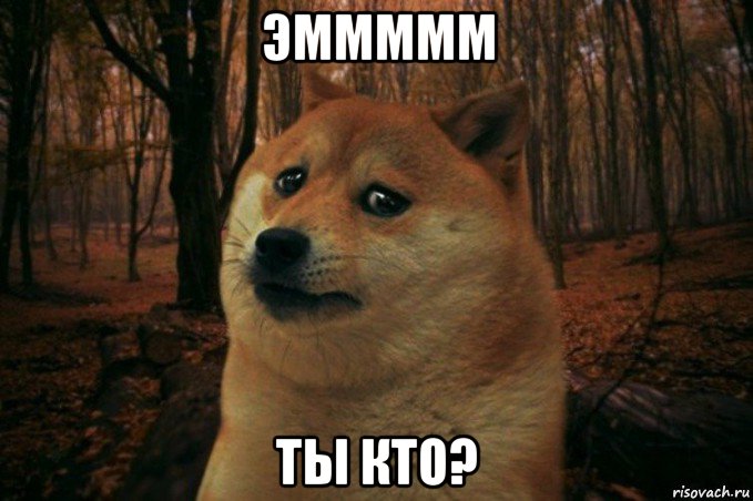 эммммм ты кто?, Мем SAD DOGE