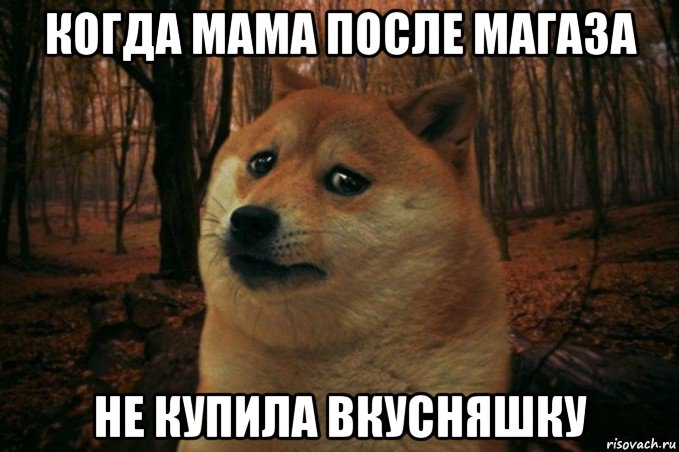 когда мама после магаза не купила вкусняшку, Мем SAD DOGE