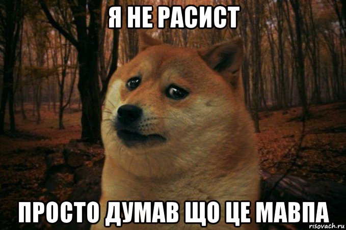 я не расист просто думав що це мавпа, Мем SAD DOGE