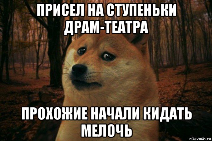 присел на ступеньки драм-театра прохожие начали кидать мелочь, Мем SAD DOGE