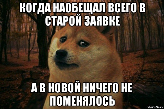 когда наобещал всего в старой заявке а в новой ничего не поменялось, Мем SAD DOGE