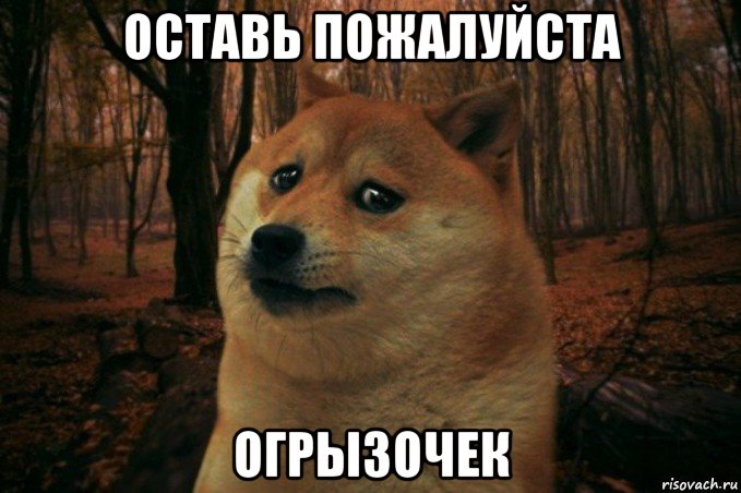 оставь пожалуйста огрызочек, Мем SAD DOGE