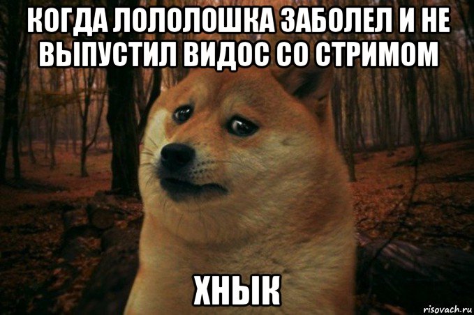 когда лололошка заболел и не выпустил видос со стримом хнык, Мем SAD DOGE