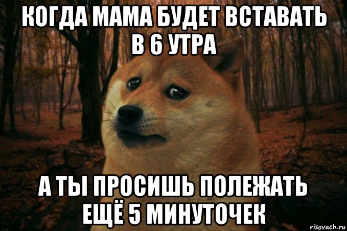 когда мама будет вставать в 6 утра а ты просишь полежать ещё 5 минуточек, Мем SAD DOGE