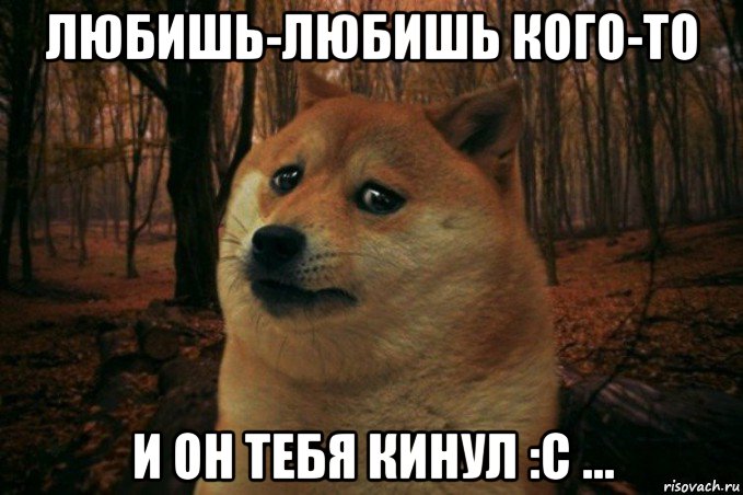 любишь-любишь кого-то и он тебя кинул :c ..., Мем SAD DOGE