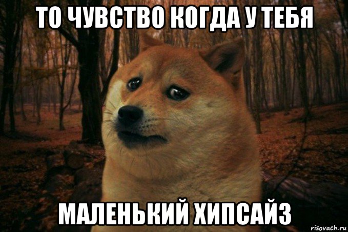 то чувство когда у тебя маленький хипсайз, Мем SAD DOGE