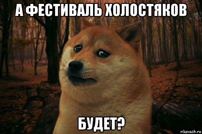 а фестиваль холостяков будет?, Мем SAD DOGE