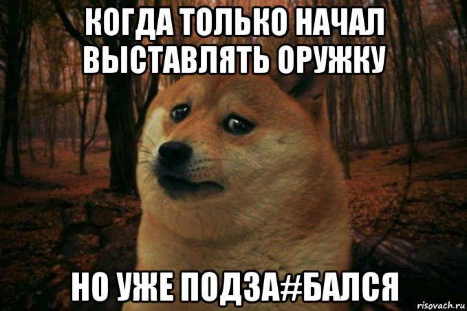 когда только начал выставлять оружку но уже подза#бался, Мем SAD DOGE