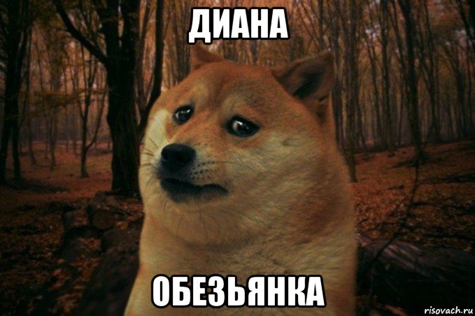 диана обезьянка, Мем SAD DOGE