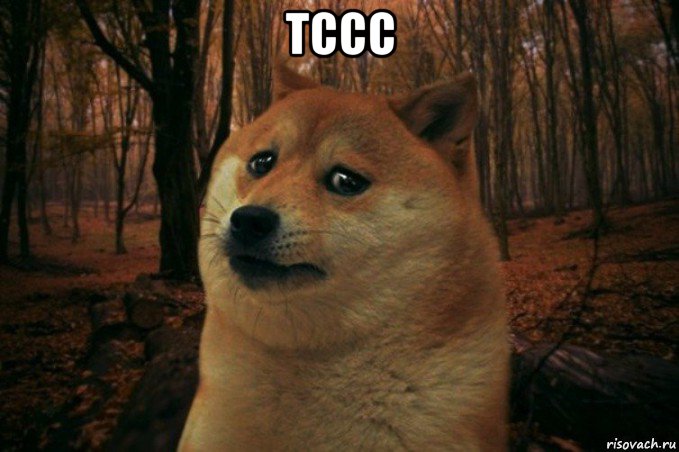 тссс , Мем SAD DOGE