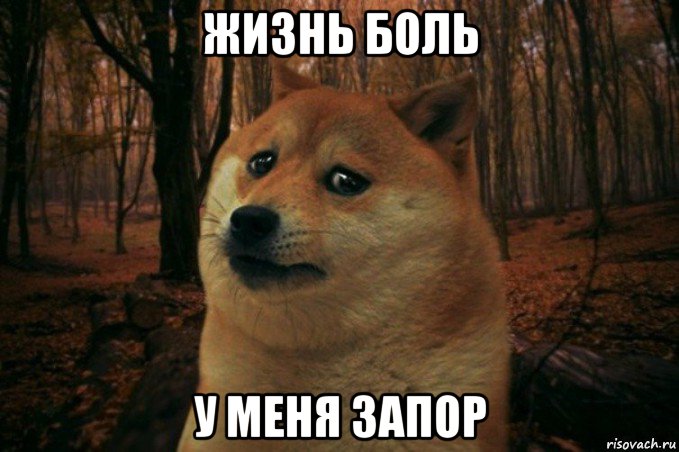 жизнь боль у меня запор, Мем SAD DOGE