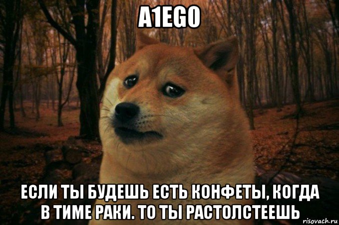 a1eg0 если ты будешь есть конфеты, когда в тиме раки. то ты растолстеешь, Мем SAD DOGE