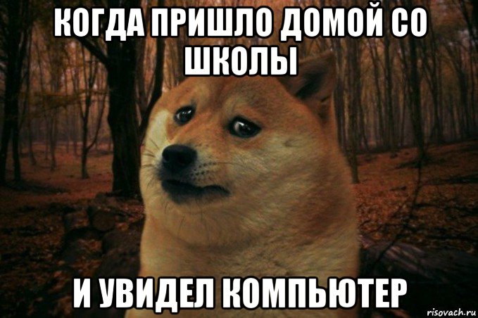 когда пришло домой со школы и увидел компьютер, Мем SAD DOGE