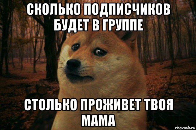 сколько подписчиков будет в группе столько проживет твоя мама, Мем SAD DOGE