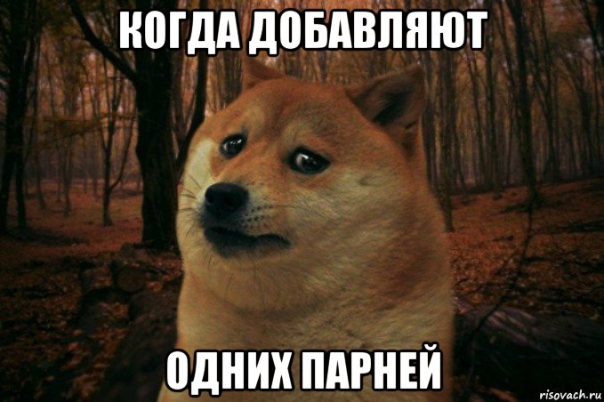 когда добавляют одних парней, Мем SAD DOGE