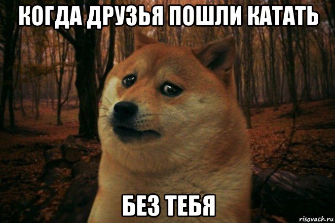 когда друзья пошли катать без тебя, Мем SAD DOGE