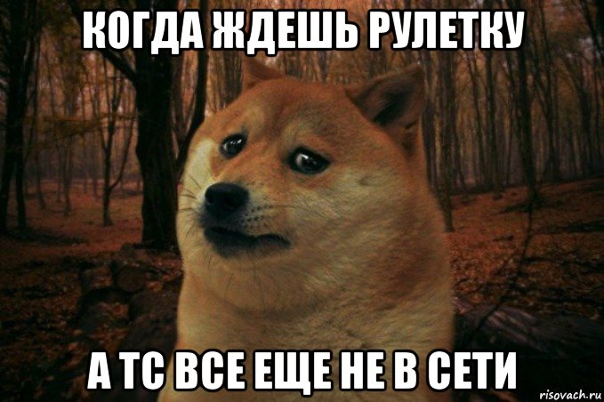 когда ждешь рулетку а тс все еще не в сети, Мем SAD DOGE