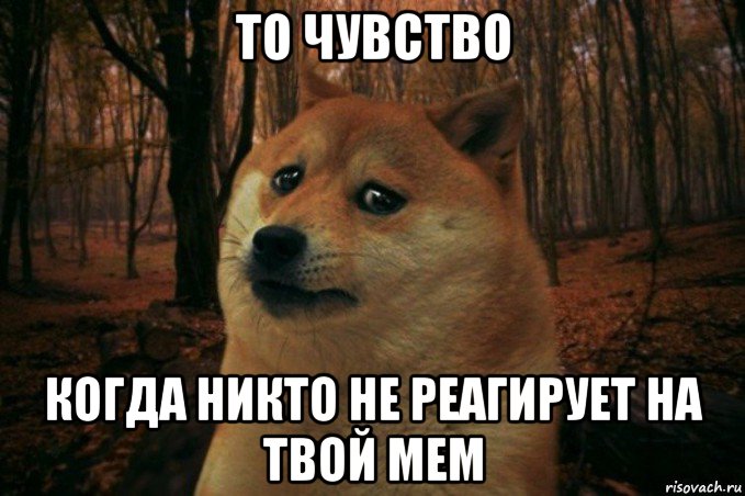 то чувство когда никто не реагирует на твой мем, Мем SAD DOGE