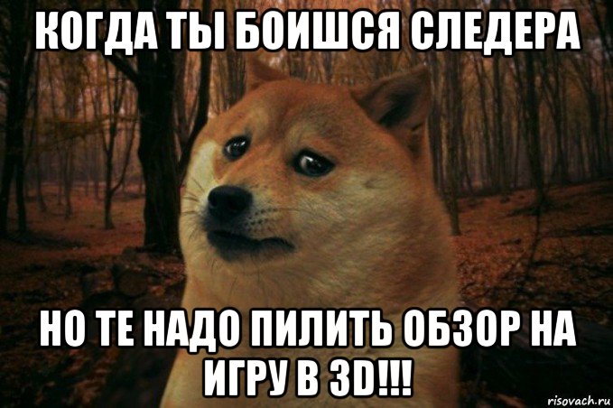 когда ты боишся следера но те надо пилить обзор на игру в 3d!!!, Мем SAD DOGE