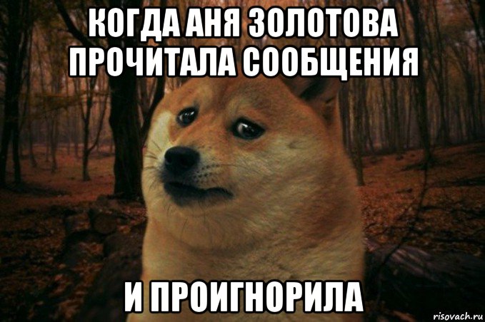 когда аня золотова прочитала сообщения и проигнорила, Мем SAD DOGE