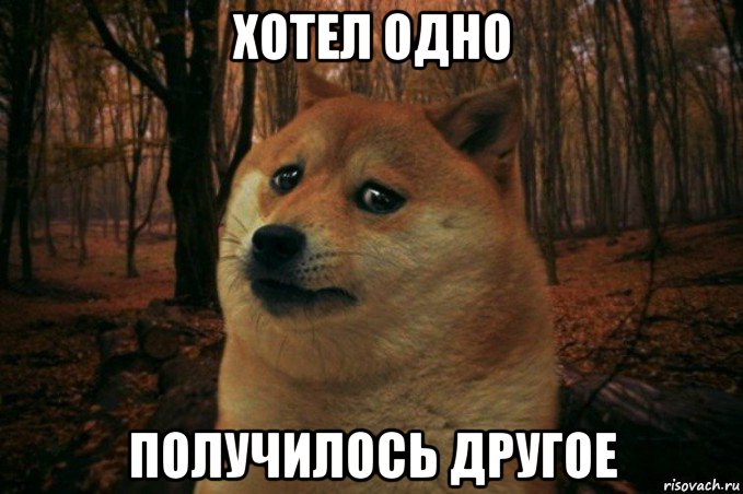 хотел одно получилось другое, Мем SAD DOGE