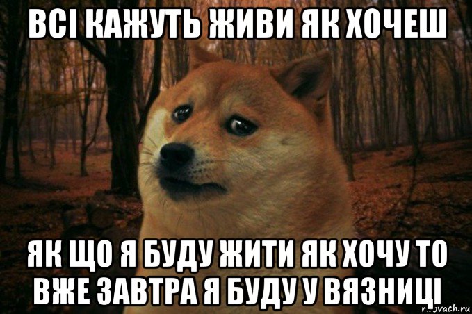 всі кажуть живи як хочеш як що я буду жити як хочу то вже завтра я буду у вязниці, Мем SAD DOGE